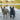 Best Dog Toys for French Bulldogs: Compact Power Players Deserve Durable Fun