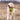 Best Dog Toys for Golden Retrievers: Durable Fun for America's Sweethearts