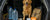 National Preparedness Month: The Ultimate Pet Preparedness Checklist
