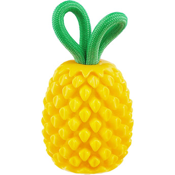 Outward Hound Pineapple Dental Chew Toy