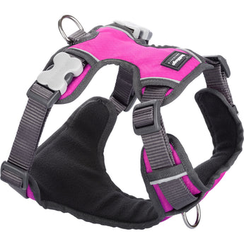 Red Dingo Padded Harness - Hot Pink