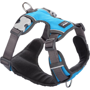 Red Dingo Padded Harness - Turquoise