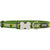 Monty Green Collar 12mm (1/2" Wide - 8-12.5" Length)