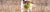 Best Dog Toys for Golden Retrievers: Durable Fun for America's Sweethearts