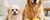 How to Choose the Right Size Dog Toy: Why Weight Is Only the Starting Point