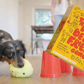 Unleash the Fun: Top Dog Toys of 2024