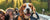 Traveling With Your Dog: The Ultimate Summer Road Trip Checklist
