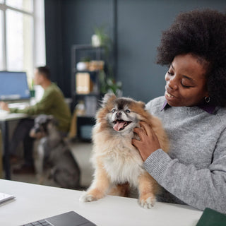 Take Your Dog to Work Day 2025: Make It a Paw-sitive Experience!