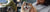 Take Your Dog to Work Day 2025: Make It a Paw-sitive Experience!