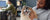 Take Your Dog to Work Day 2025: Make It a Paw-sitive Experience!