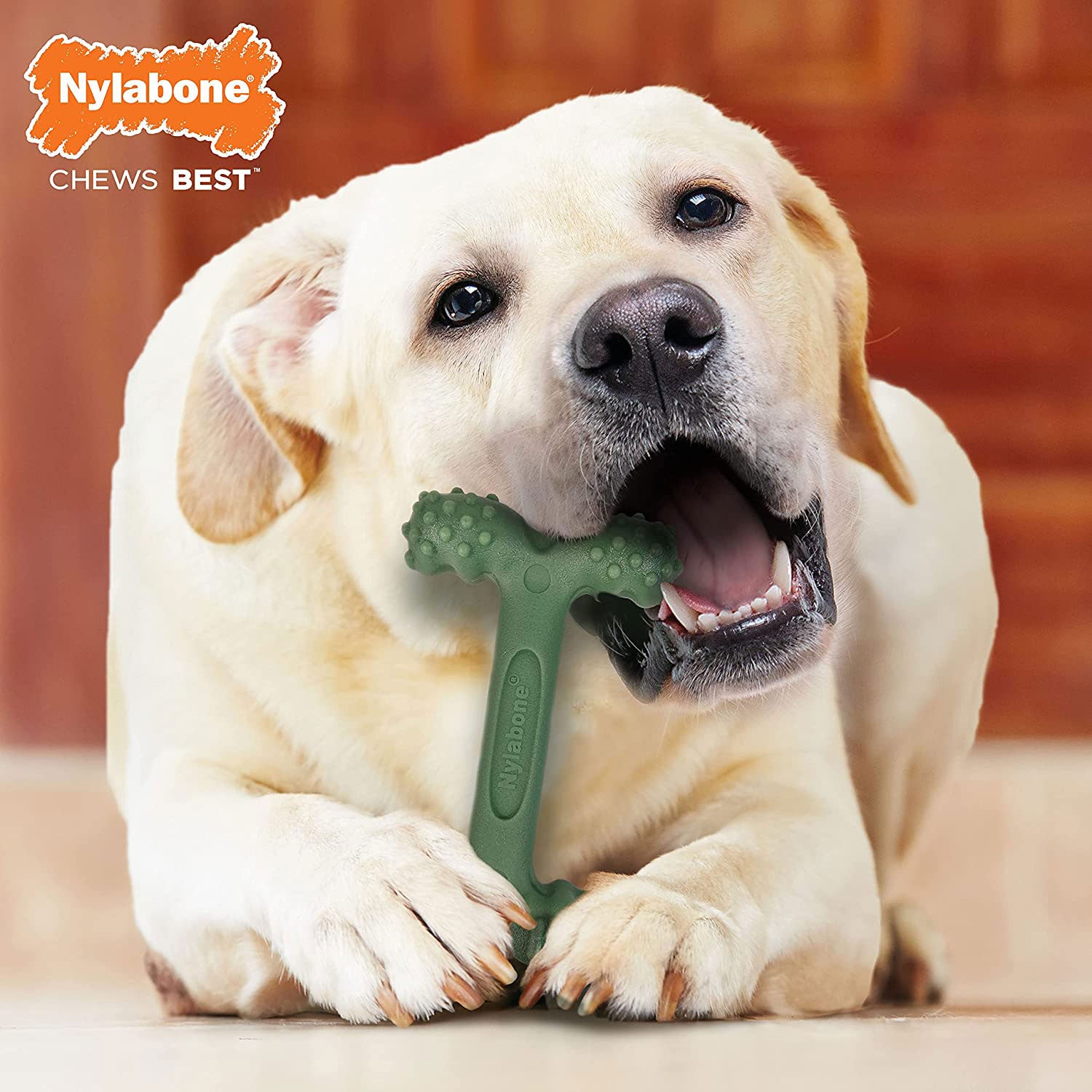 Nylabone Power Easy-Hold Dog Chew Toy – DogTuff