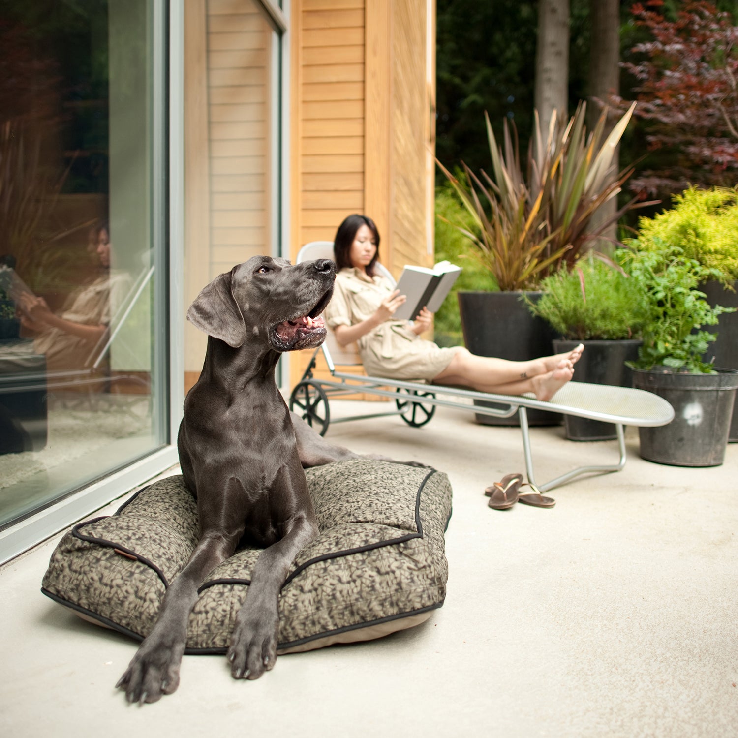 Frolic Rectangular Dog Bed by P.L.A.Y. | Durable & Eco-Friendly | DogTuff