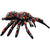 Tuffy Dog Toys Tom the Tarantula