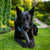 Goughnuts Black Stick Large