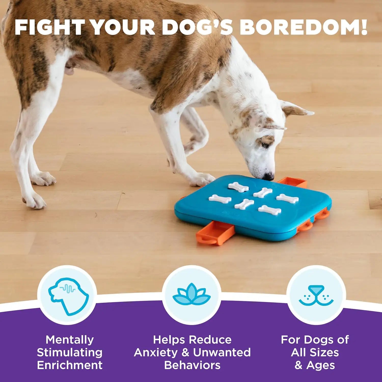 Outward Hound Casino Treat Puzzle Dog Toy – DogTuff Outward Hound Casino Treat Puzzle Dog Toy – DogTuff