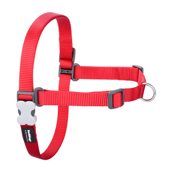 Red Dingo No-Pull Harness