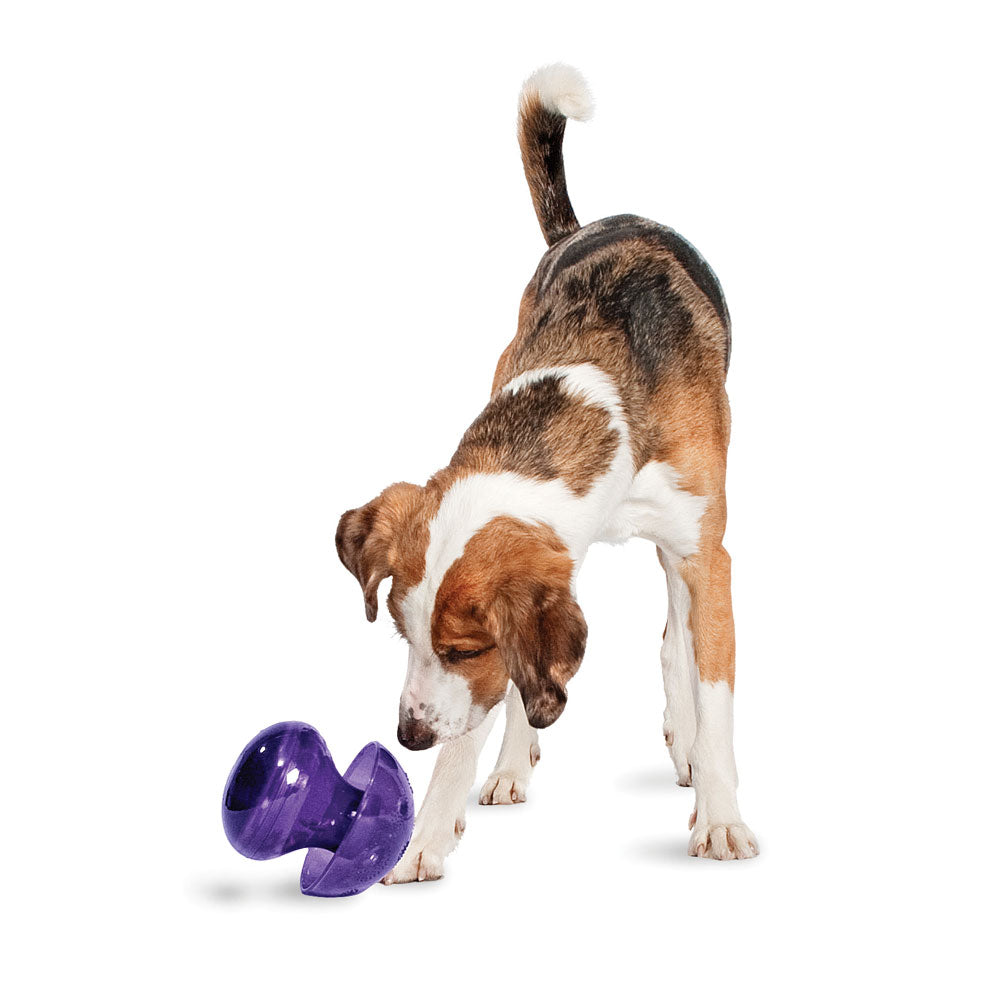 PetSafe Busy Buddy Magic Mushroom Dog Toy - Keene, NH - Barre, VT -  Brattleboro, VT - One Stop Country Pet Supply