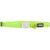 Classic Lime Green Kitten Collar 8mm