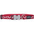 White Spots on Red Dog Collar