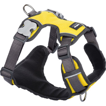 Red Dingo Padded Harness - Yellow