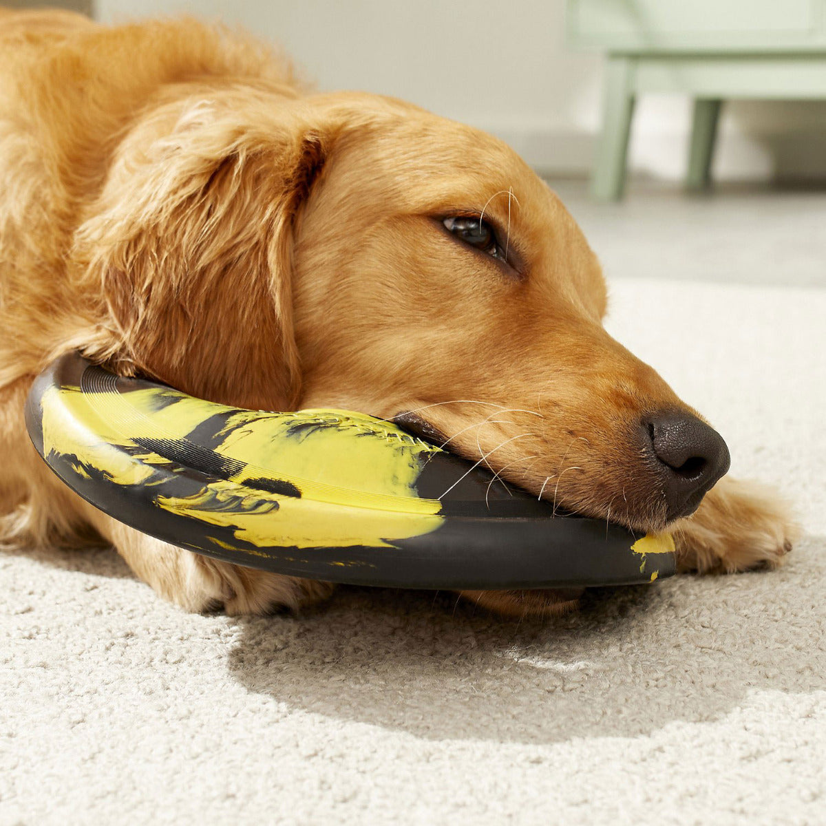 GoughNuts Flynut Dog Toy – DogTuff - Main Image