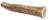 Medium Elk Antler