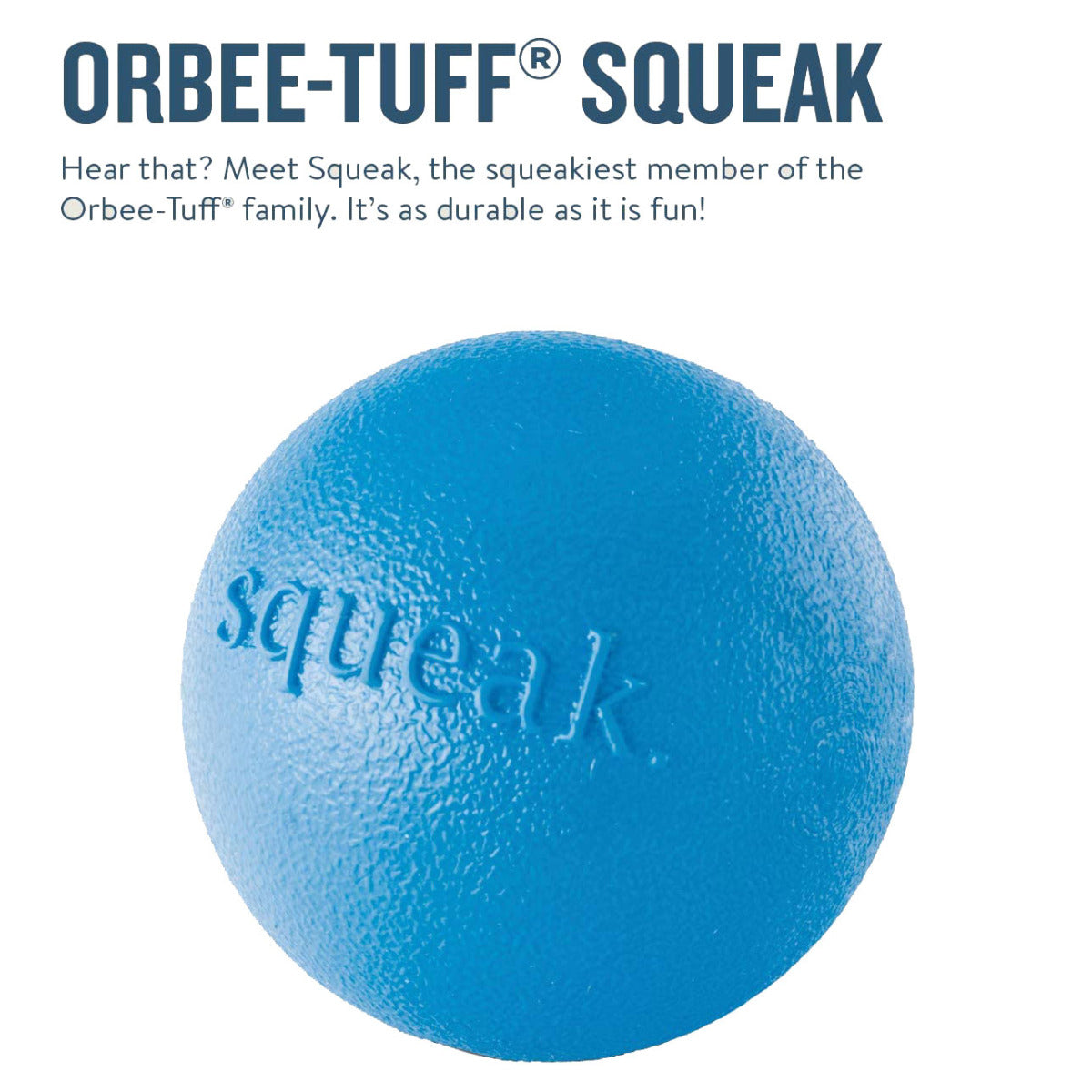 Planet Dog Orbee-Tuff Planet Ball Royal Blue Large - Pet in the City