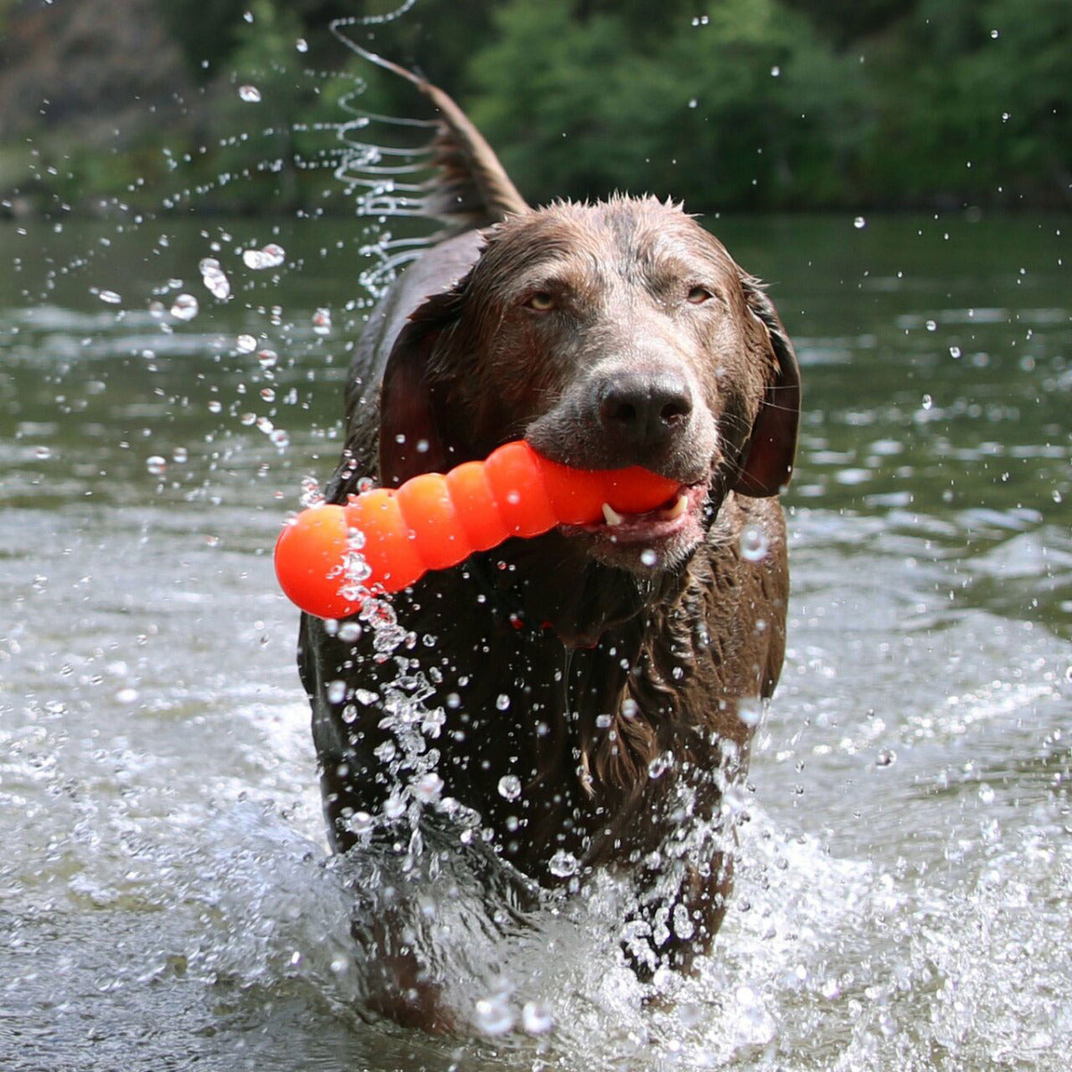 Toy Ruff Ruff Dawg Indestructible Dawg-Buster Lifetime Guaranteed Dog Toy – DogTuff