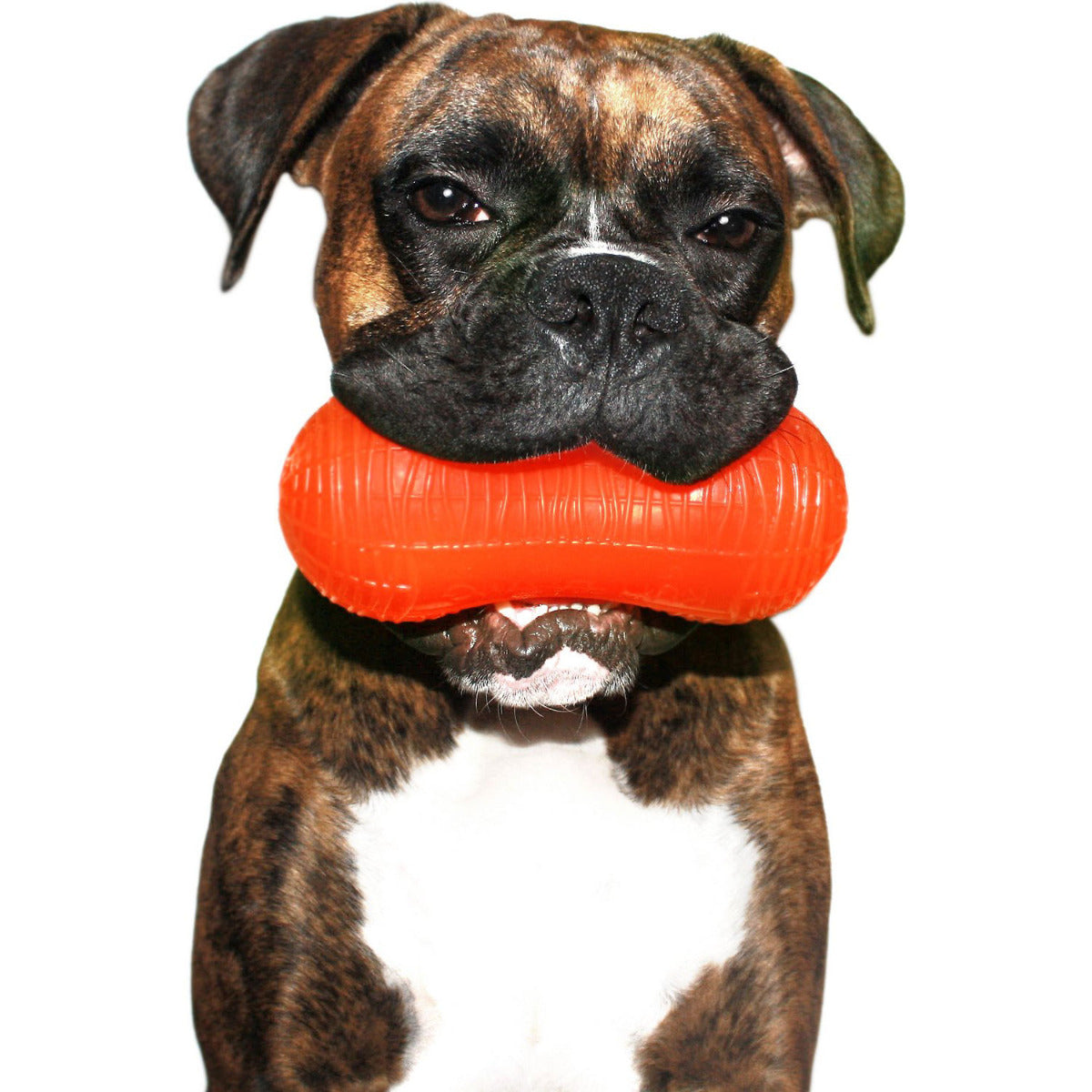 Ruff Dawg - Peanut Crunch Dog Toy