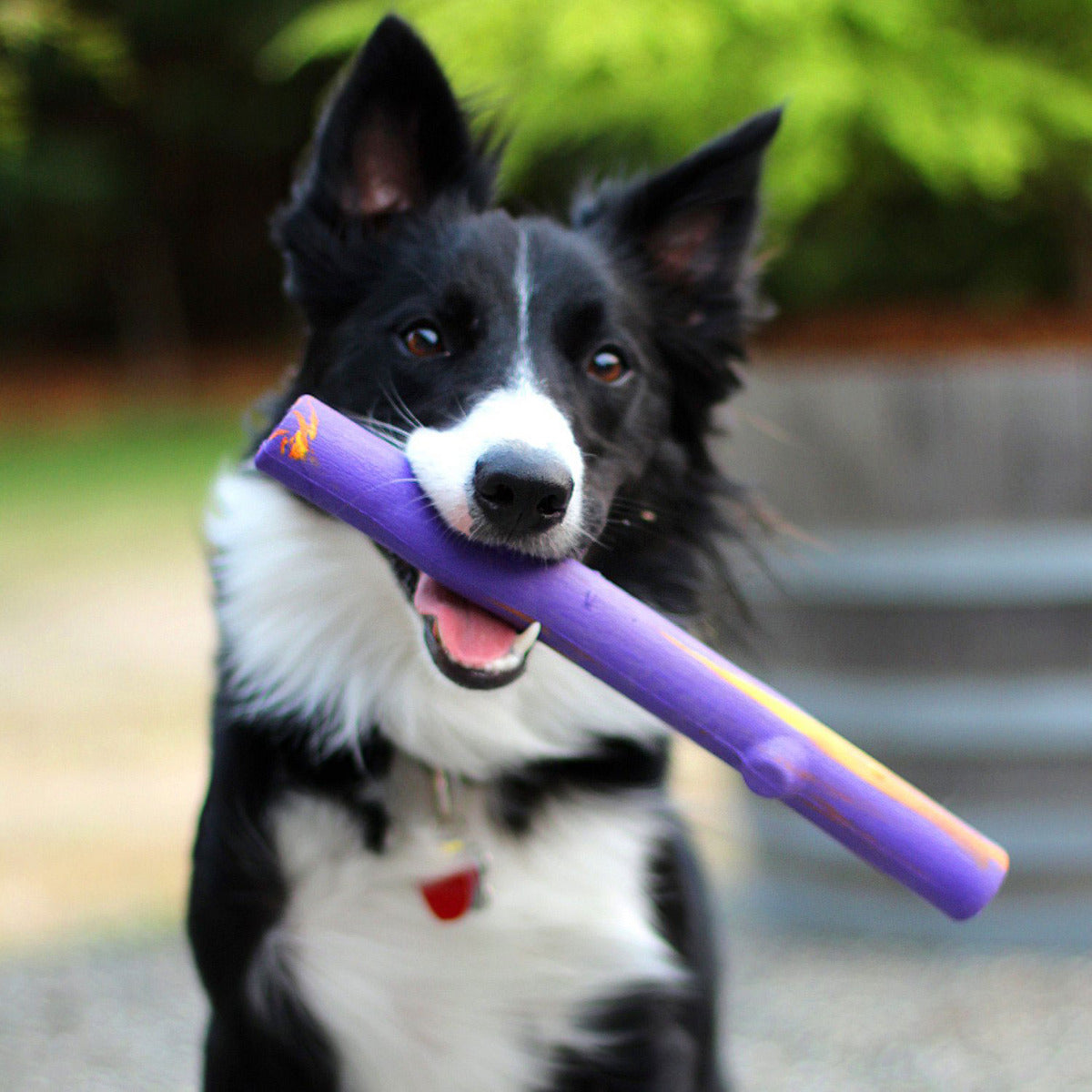 Toy Ruff Ruff Dawg Crunch Stick Rubber Retrieving Dog Toy – DogTuff