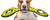 Rex and No Stuffing Tug-O-War