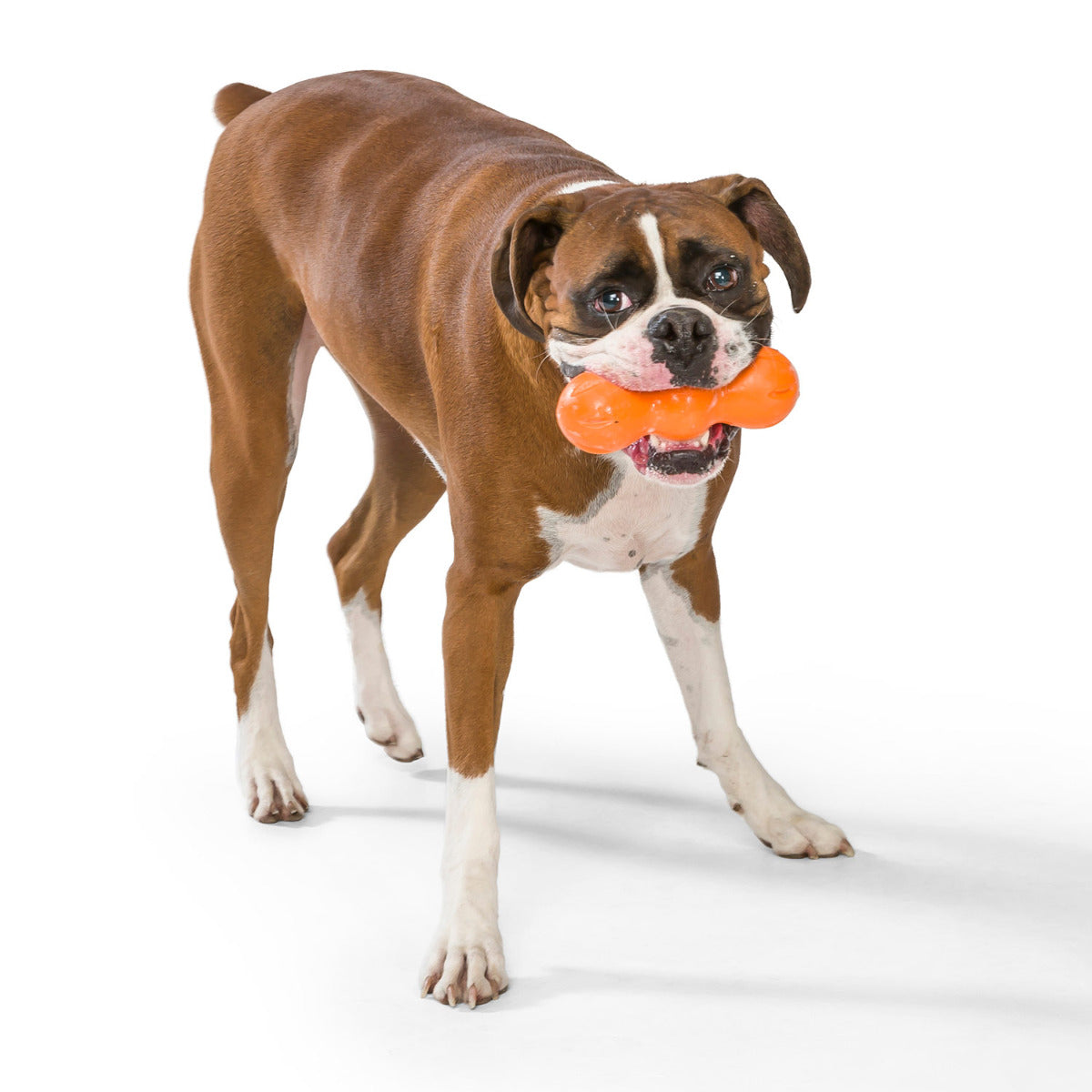 WEST PAW Zogoflex Rumpus Dog Chew Toy (Small, Tangerine) & Zogoflex Hurley  Dog Bone Chew Toy (Small, Aqua) – Floatable Pet Toys for Aggressive